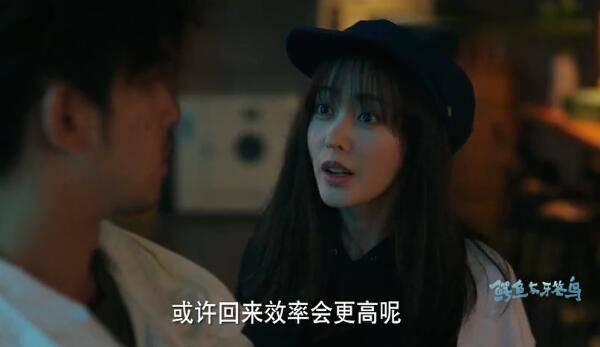 鳄鱼与牙签鸟分集剧情介绍(1-50集)大结局_电视剧