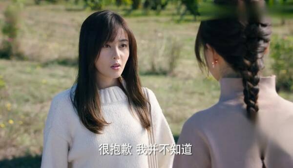 鳄鱼与牙签鸟分集剧情介绍(1-50集)大结局_电视剧