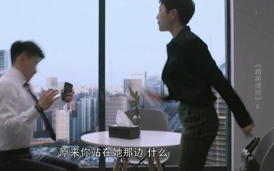 精英律师分集剧情介绍(1-42集)大结局_电视剧