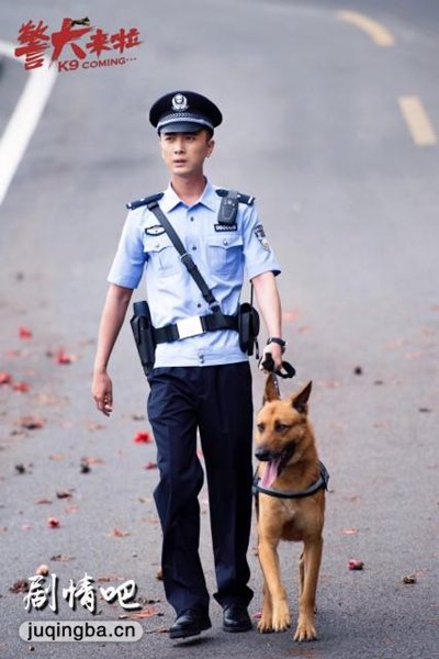 警犬来啦分集剧情介绍(1-48集)大结局