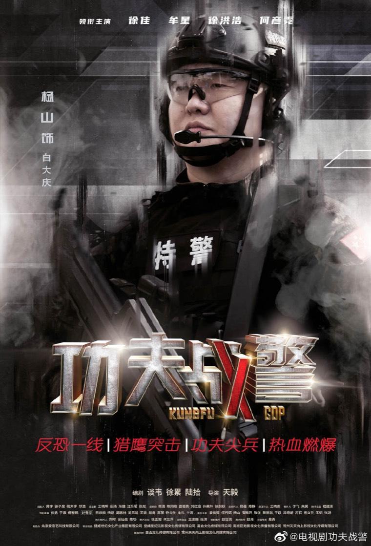 功夫战警分集剧情介绍(1-42集)大结局_电视剧