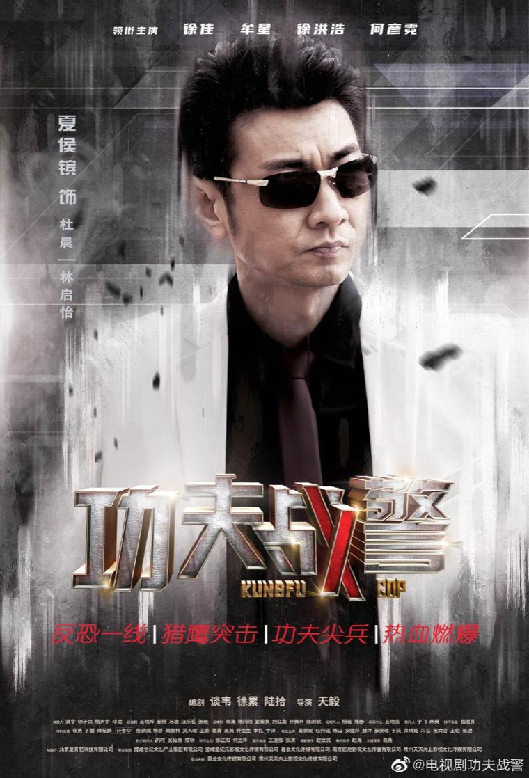 功夫战警分集剧情介绍(1-42集)大结局_电视剧