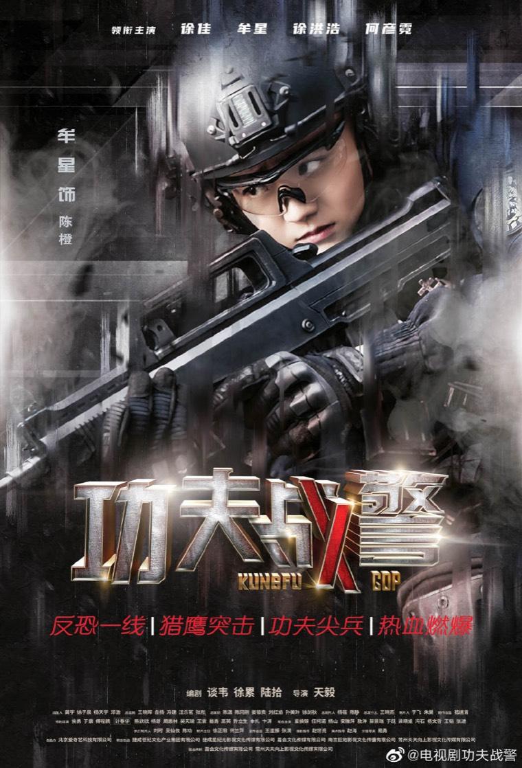 功夫战警分集剧情介绍(1-42集)大结局_电视剧