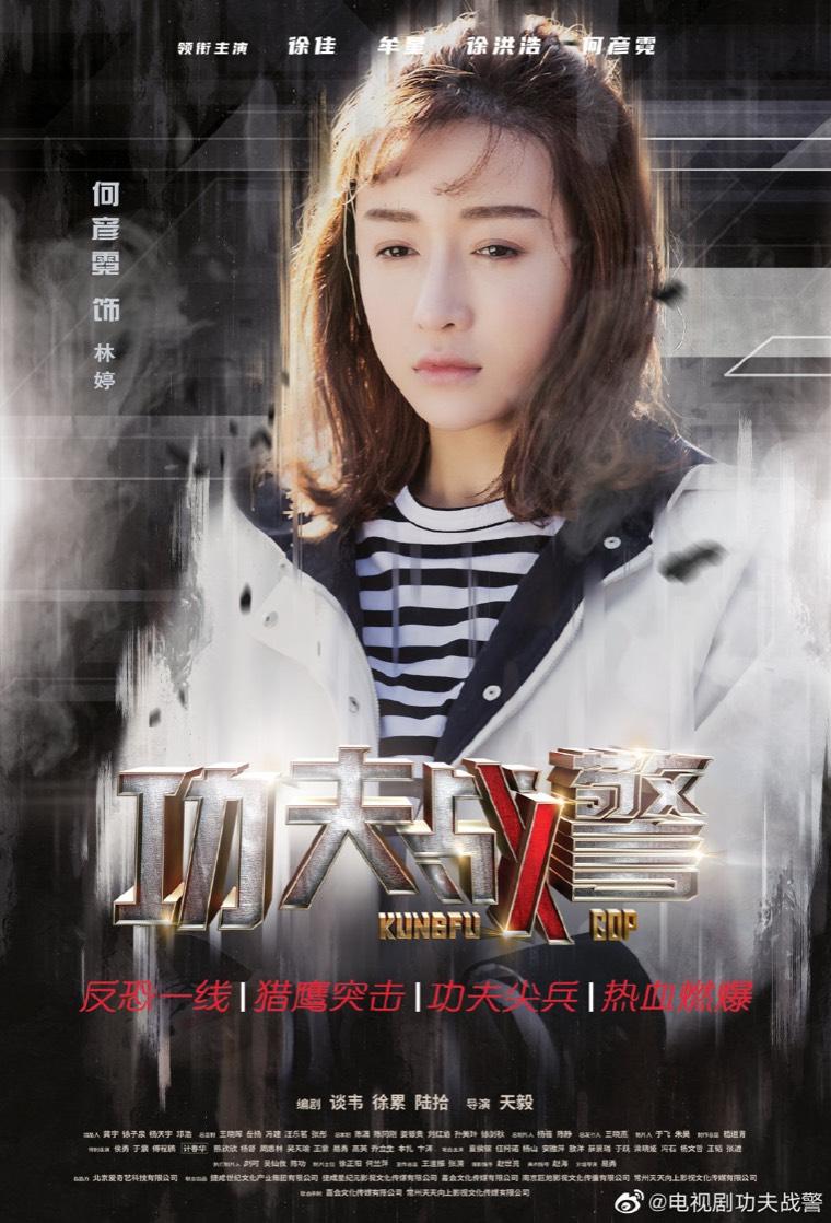 功夫战警分集剧情介绍(1-42集)大结局_电视剧