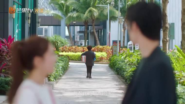 满分追爱公式分集剧情介绍(1-18集)大结局_电视剧