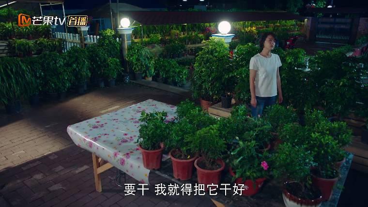 鲜花盛开的山村分集剧情介绍(1-33集)大结局_电视剧