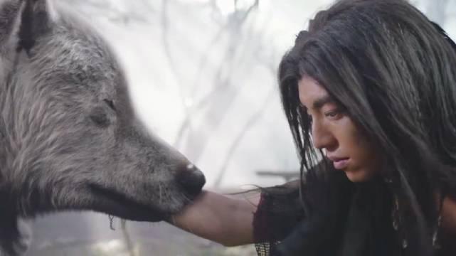 狼殿下分集剧情介绍(1-48集)大结局_电视剧