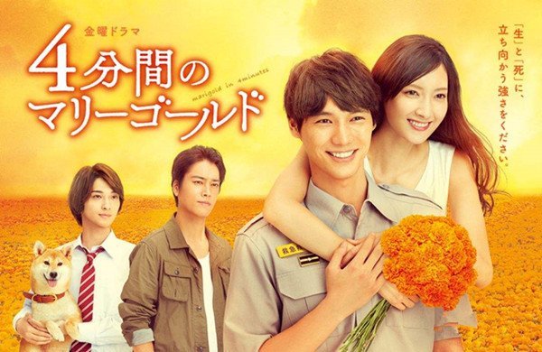 日剧四分钟的金盏菊分集剧情介绍(1-16集)大结局_电视剧