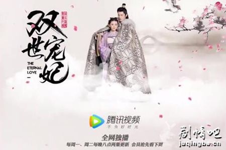 双世宠妃分集剧情介绍(1-24集)大结局