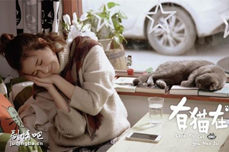 有猫在分集剧情介绍(1-12集)大结局