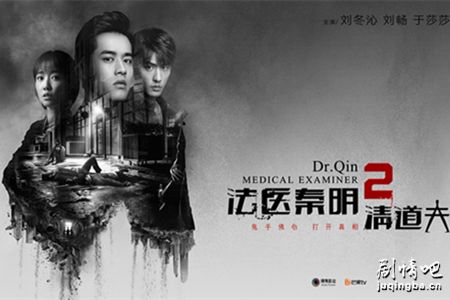 法医秦明2清道夫分集剧情介绍(1-20集)大结局