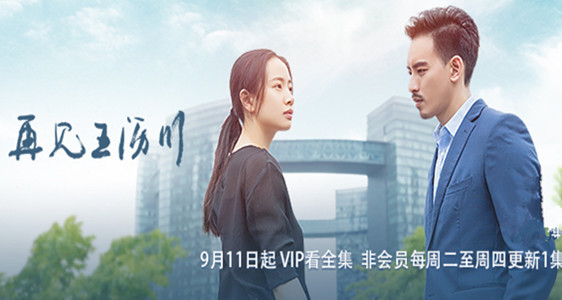 再见王沥川分集剧情介绍(1-8集)大结局