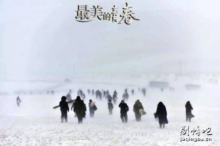 最美的青春分集剧情介绍(1-36集)大结局