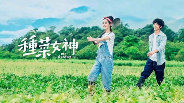 种菜女神分集剧情介绍(1-24集)大结局