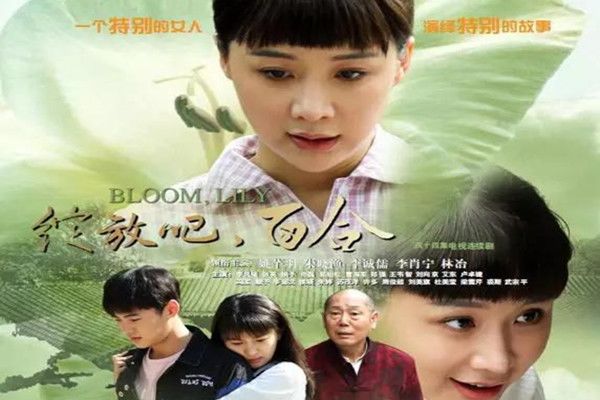 绽放吧百合分集剧情介绍(1-50集)大结局