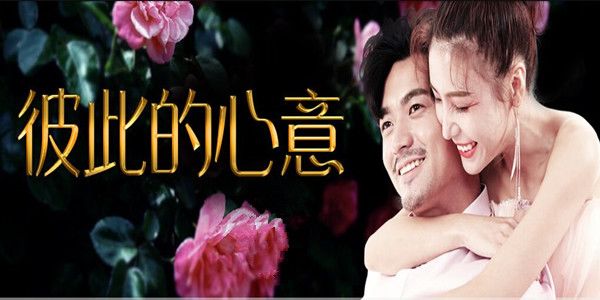 彼此的心意分集剧情介绍(1-15集)大结局_电视剧