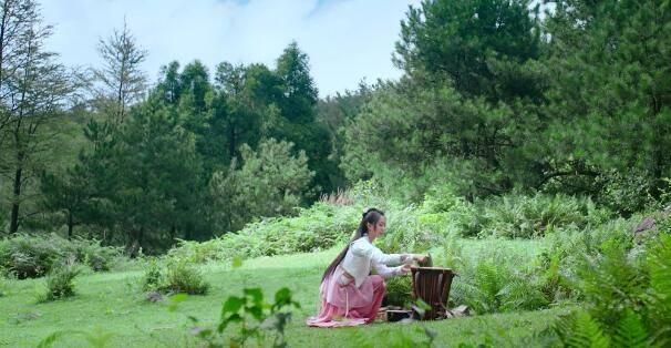 人间烟火花小厨分集剧情介绍(1-36集)大结局_电视剧