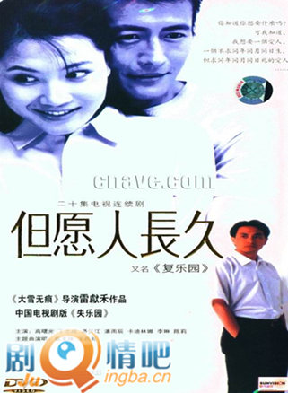 但愿人长久分集剧情介绍1-20集大结局