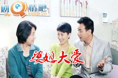 婆媳大爱分集剧情介绍(1-26集)大结局