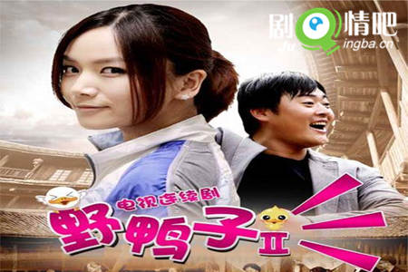 野鸭子2分集剧情介绍(1-30集)大结局