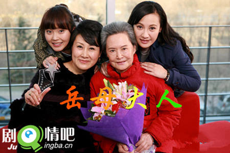 电视剧岳母大人分集剧情介绍(1-30集)大结局