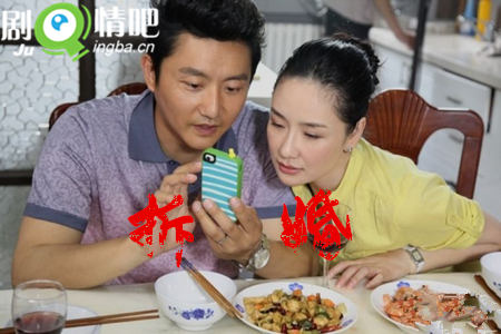 拆婚分集剧情介绍(1-35集)大结局