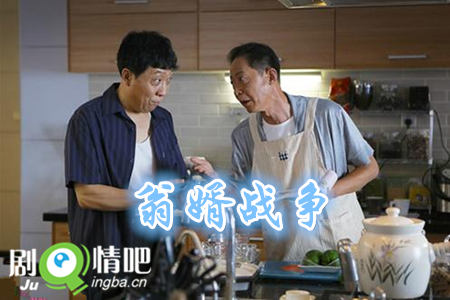 翁婿战争分集剧情介绍(1-48集)大结局