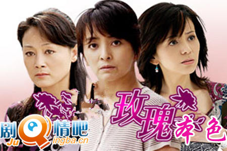 玫瑰本色分集剧情介绍(1-27集)大结局