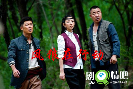 风狼在行动分集剧情介绍(1-36集)大结局