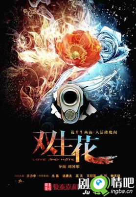 双生花分集剧情介绍(1-26集)大结局