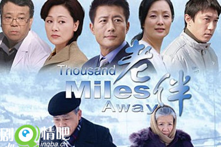 电视剧老伴分集剧情介绍(1-30集)大结局