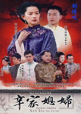 辛家媳妇分集剧情介绍(1-24集)大结局