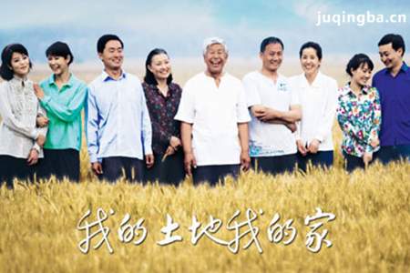 我的土地我的家分集剧情介绍(1-24集)大结局