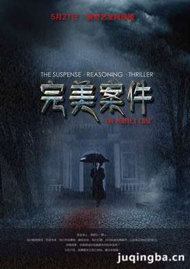 完美案件分集剧情介绍(1-5全集)大结局