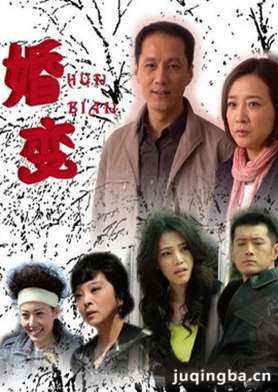 婚变分集剧情介绍(1-28集)大结局