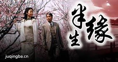 半生缘分集剧情介绍(1-35集)大结局