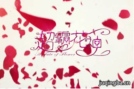 超霸花神分集剧情介绍(1-45集)大结局