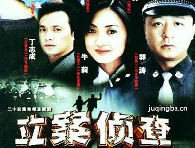 立案侦查分集剧情介绍(1-20集)大结局