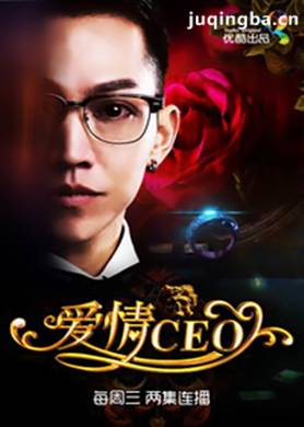 爱情CEO分集剧情介绍(1-14集)大结局