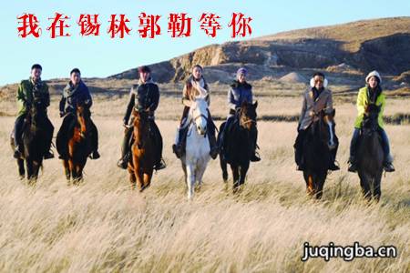 我在锡林郭勒等你分集剧情介绍(1-32集)大结局