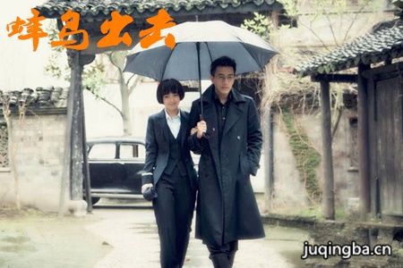 蜂鸟出击分集剧情介绍(1-40集)大结局