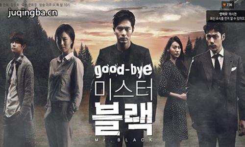 再见布莱克先生分集剧情介绍(1-20集)大结局