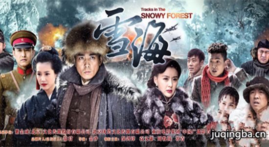 电视剧雪海分集剧情介绍(1-40集)大结局