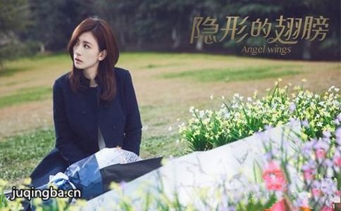 隐形的翅膀分集剧情介绍(1-48集)大结局