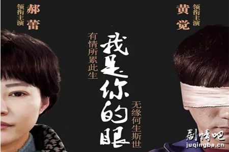 我是你的眼分集剧情介绍(1-44集)大结局