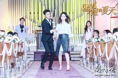 狐狸的夏天分集剧情介绍(1-44集)大结局