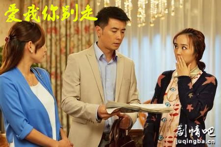 爱我你别走分集剧情介绍(1-49集)大结局