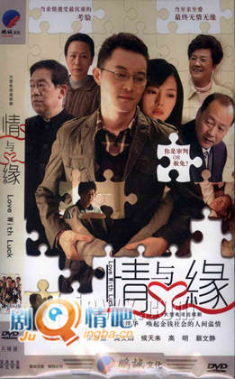 情与缘分集剧情介绍(1-28集)大结局