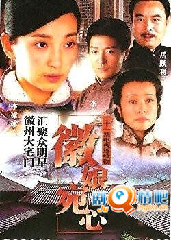 徽娘宛心分集剧情介绍(1-31集)大结局