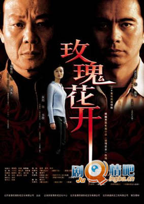 电视剧《玫瑰花开》分集剧情介绍(1-20集)大结局